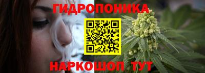 spice Кунгур