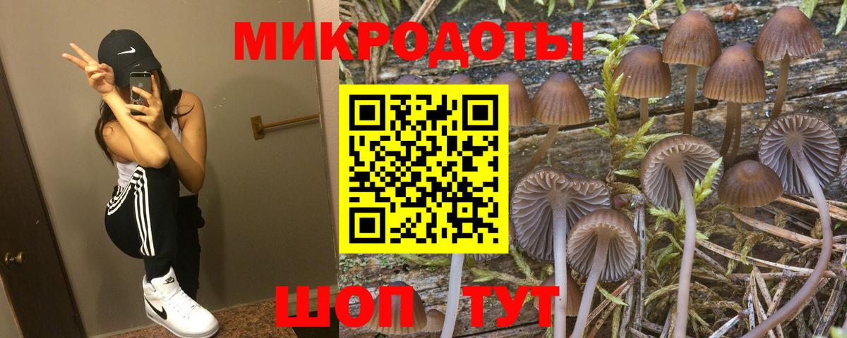 Чернушка  Галлюциногенные грибы Psilocybe  Псилоцибиновые грибы мицелий  Вход с VPN 