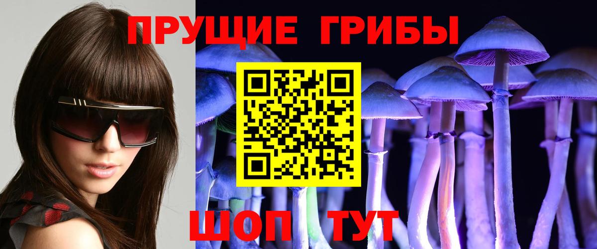 Псилоцибиновые грибы мицелий Чернушка